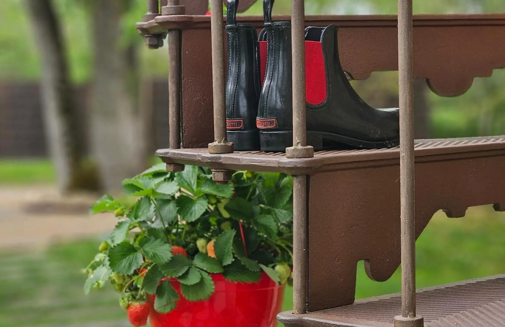 Tatil Evi Les Mazasses Villa Lavaur